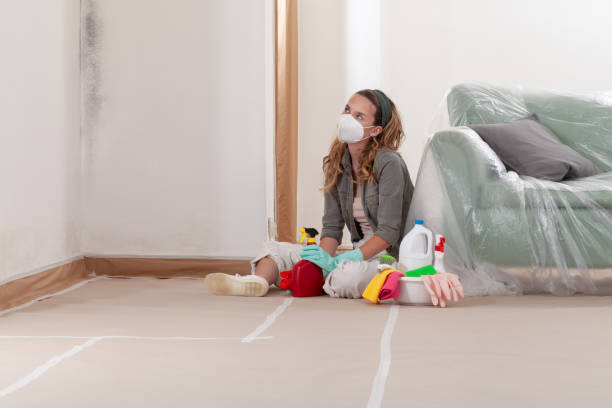 Reliable Mold Remediation contractor in Maple Valley, WA by 24 Hour Mold Removal